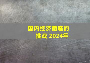 国内经济面临的挑战 2024年